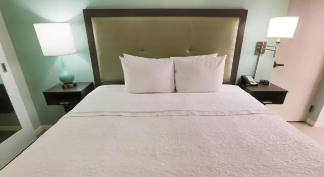 Двухместный номер Mobility/Hearing Access Hampton Inn & Suites Nashville-Airport
