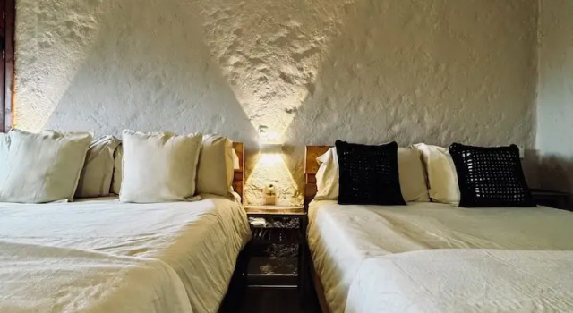Номер Deluxe Coffee Tree Boutique Hostel