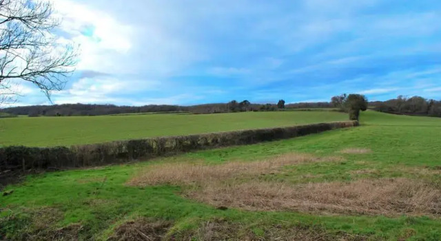 Willowbrook Guesthouse, Buchen Sie Hotel Chepstow Gwent