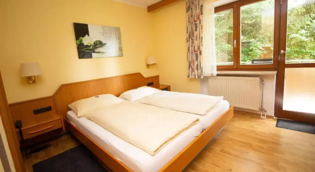 Двухместный номер Standard Hotel am Wald