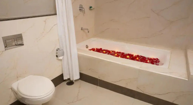 Полулюкс Poppys Hotel Madurai