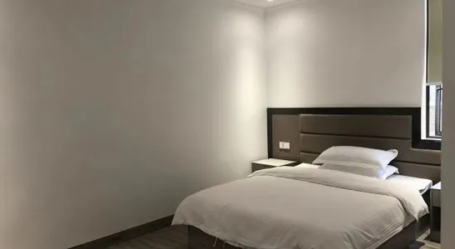 Люкс Xinglang Hotel