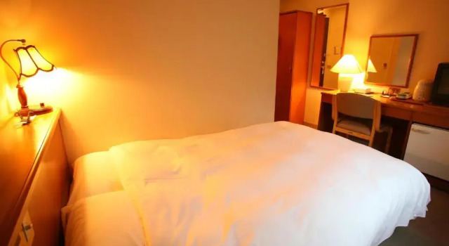 Одноместный номер Standard Hashidate Bay Hotel