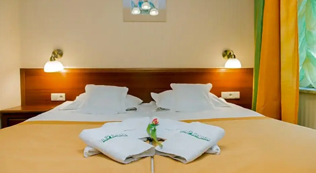 Villa Palinka