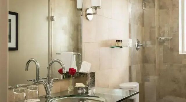 Четырёхместный номер Standard Hotel Zaza Houston Museum District