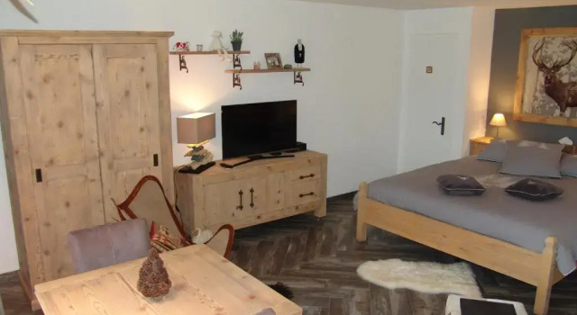 Студия Superior Apartments Haus Quelle