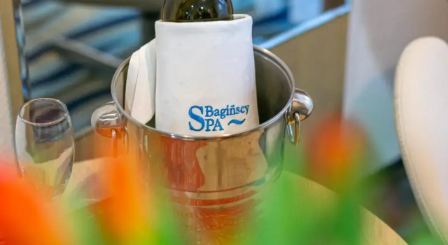 Номер Standard Bagińscy Spa