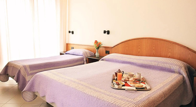 Hotel Adler