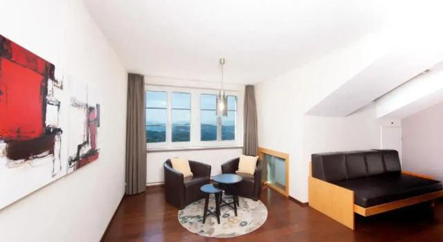 Трёхместный номер Standard с видом на озеро UTO KULM - Top of Zurich