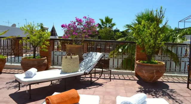 Camera Standard Riad Amira