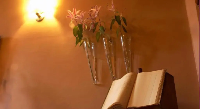 Номер Economy Guesthouse PoortAckere