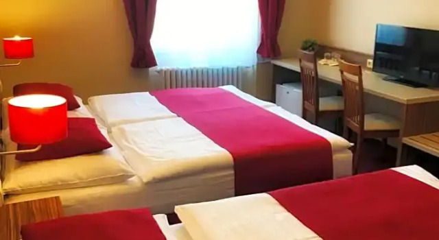 Номер Economy Hotel Continental
