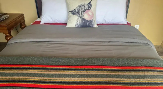 Номер Deluxe Lodge at Poncha Springs