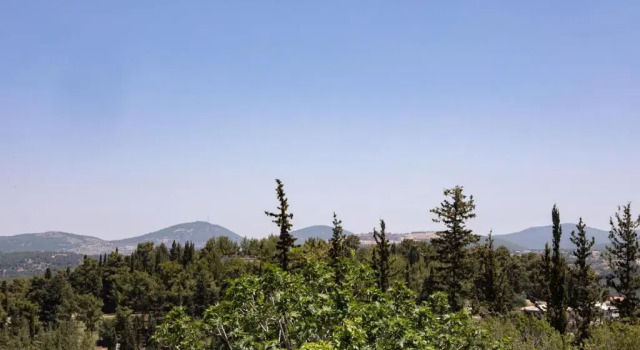 Номер Superior Hacienda Forest View Hotel