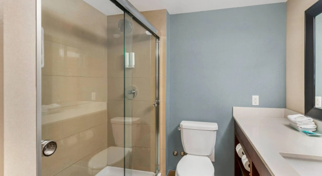 Двухместный люкс Clarion Hotel & Suites