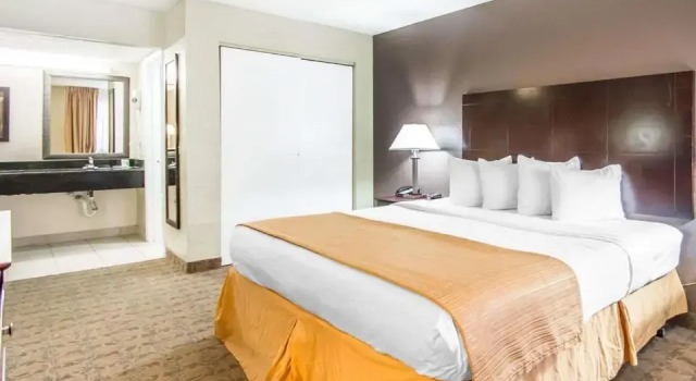 Двухместный номер Standard Цокольный этаж Quality Inn & Suites By the Parks