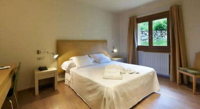 Двухместный номер Standard Hotel Manantial- Balneari Caldes de Boi