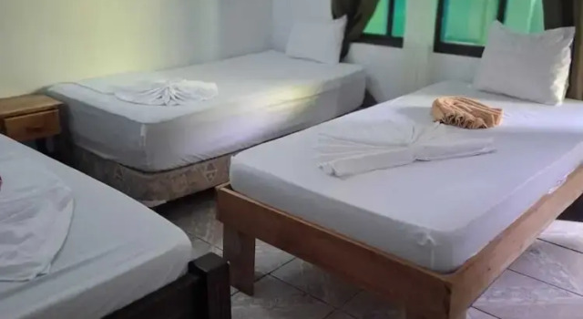Четырёхместный номер Economy c 1 комнатой Cabinas Tortuguero Natural