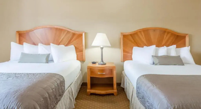 Четырёхместный номер Standard Baymont by Wyndham Asheville/Biltmore