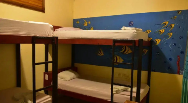 Четырёхместный номер Standard Costa Linda Art Hostel