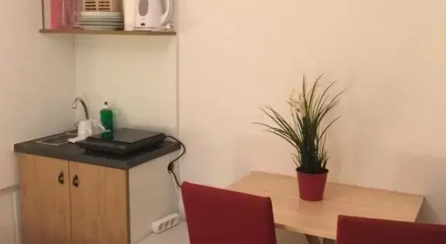 Двухместный номер Standard Guesthouse Mozart - Apartment House