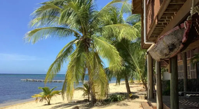 Reef Beach House - for 4