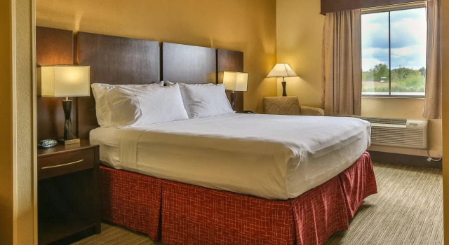Люкс Holiday Inn Express & Suites Houston South - Near Pearland by IHG