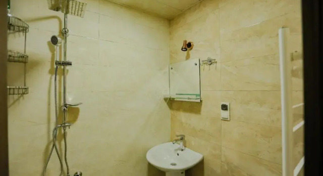 Студия Standard Luky apartment on Rustaveli Ave