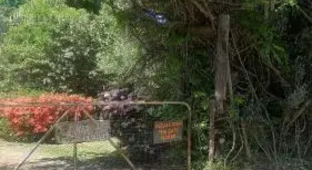 Liquid Amber, Reservar Hotel Hogsback Eastern Cape