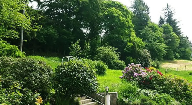 Номер Standard Green Corner Nürburg
