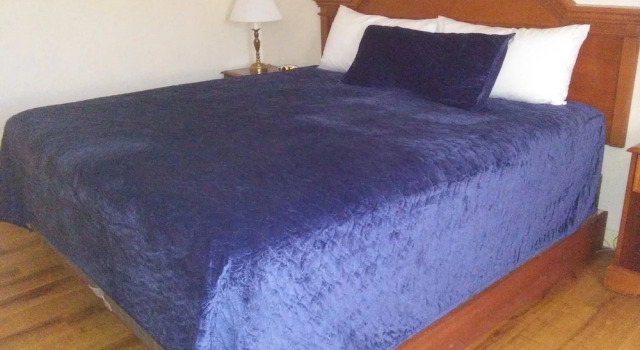 Номер Standard The Towne Motel