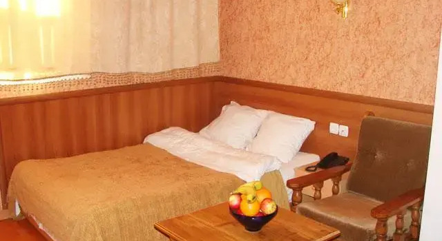 Hotel Skip