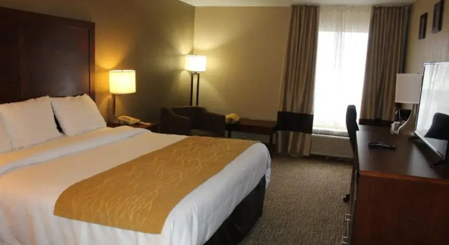 Номер Standard Bristol Arcadia Inn