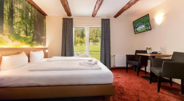 Двухместный номер Standard Waldhotel Schinkenwirt