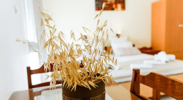 Номер Economy Koulouris Apartments