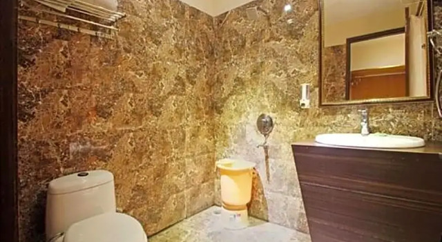 Двухместный номер Standard Hotel Kohinoor Palace, Ludhiana