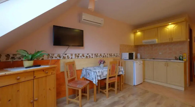 Студия Rozmann Family Panzió & Apartmanhaz
