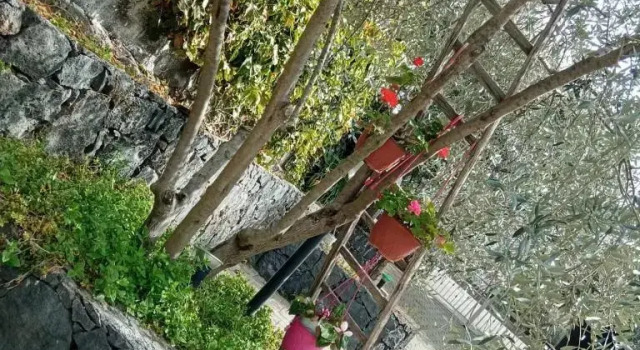 Azienda Agricola Cuntarati, Book Hotel Hotels in Bronte with Parking, Parking