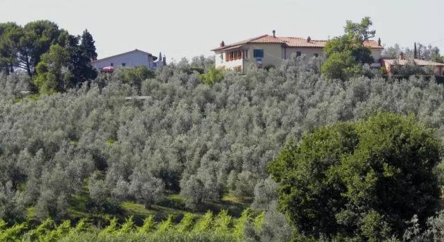 Апартаменты Agriturismo Podere Zollaio
