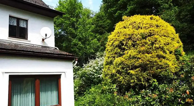 Двухместный номер Standard Green Corner Nürburg