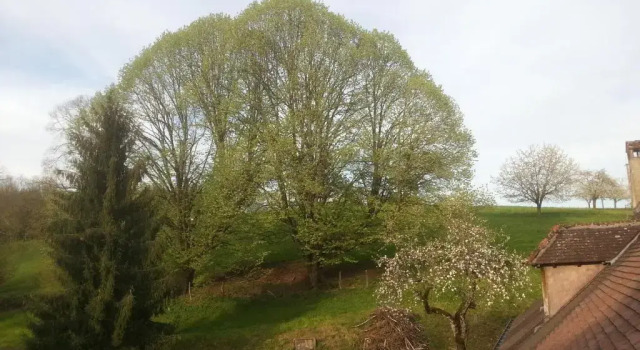 Коттедж Gîte du château de Feschaux, Jura