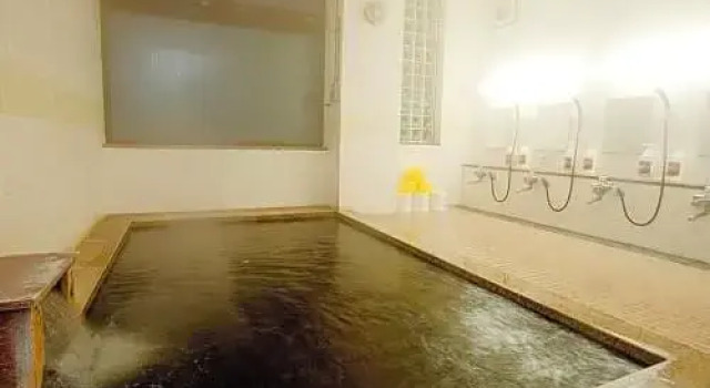 Togari Onsen Alpine Plaza - Vacation STAY 02286v, Prenota Hotel Iiyama 