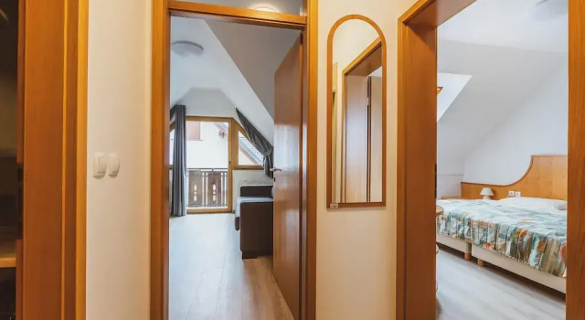 Апартаменты c 1 комнатой с балконом и с видом на горы Vitranc Apartments