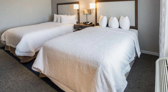Четырёхместный номер Standard Hampton Inn & Suites Colleyville DFW Airport West