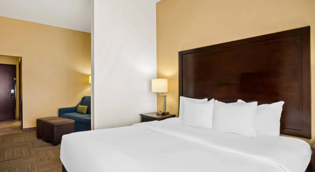 Двухместный люкс Comfort Suites Frisco