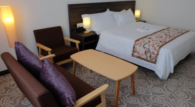 Двухместный люкс с видом на город Natol Hotel