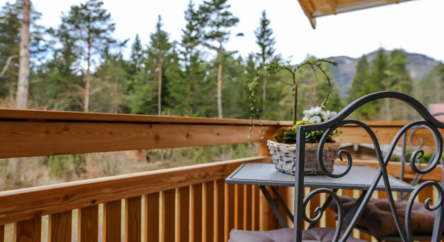Landhaus Wiesner ab Dezember täglich MIT oder OHNE FRÜHSTÜCK von 8 bis 9 Uhr, Prenota Casa vacanze Ville a Tegernsee, Villa