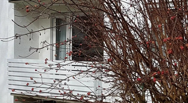 Апартаменты Ferienwohnung Marina Kassel