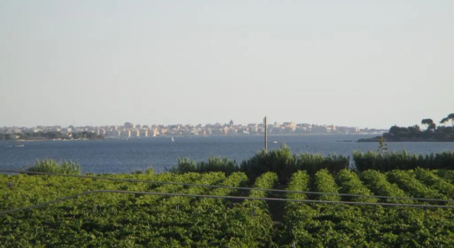 Вилла Villetta Airone