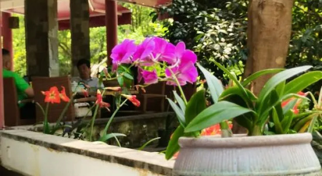 Guangzhou Yijiangnan Homestay, Boek Hotel Hotels in Guangdong met parkeren, Parkeren